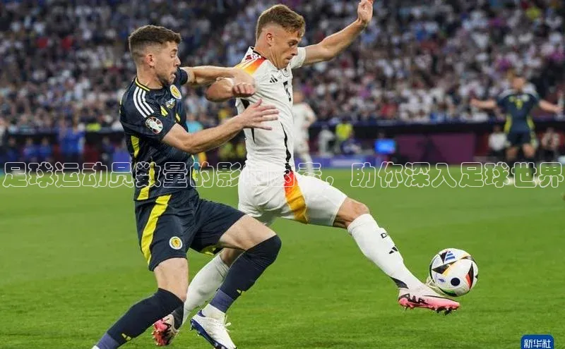 星欧娱乐百度手机助手足球运动员数量的影响因素，助你深入足球世界