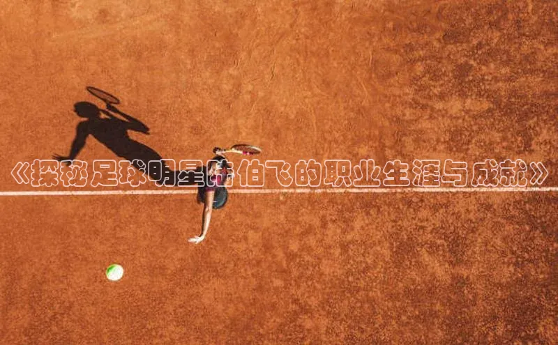 星欧平台app下载安装宇信科技《探秘足球明星陆伯飞的职业生涯与成就》