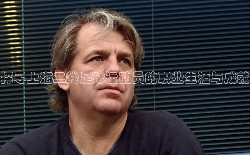 星欧平台登录入口诸葛科技探寻上海二线足球运动员的职业生涯与成就