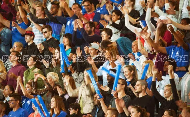 星欧平台登陆入口百度教育揭秘中国足球界最令人愤怒的运动员：揭露内幕、争议与真相