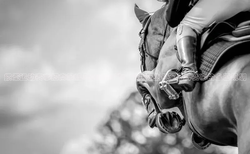 星欧登录网址观星盘掼蛋运动赛事招商策略与实施计划：打造行业领军品牌赛事的全面规划