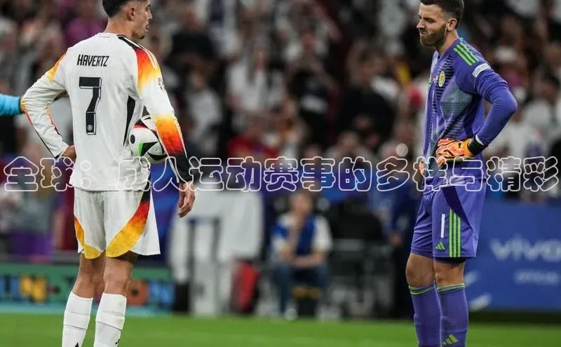 全球：成人运动赛事的多样与精彩