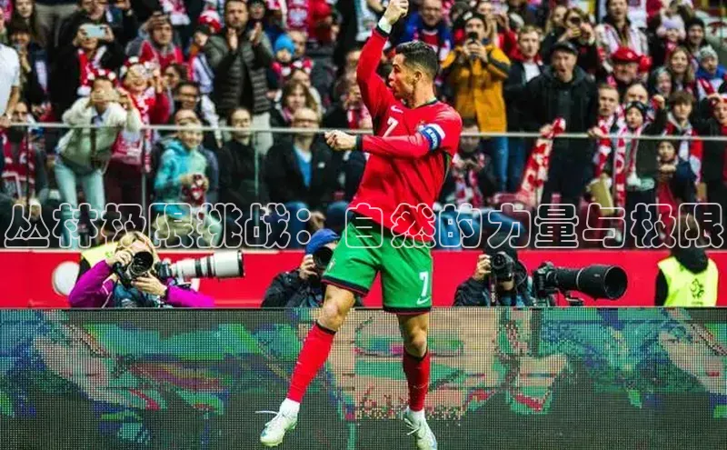 丛林极限挑战：自然的力量与极限