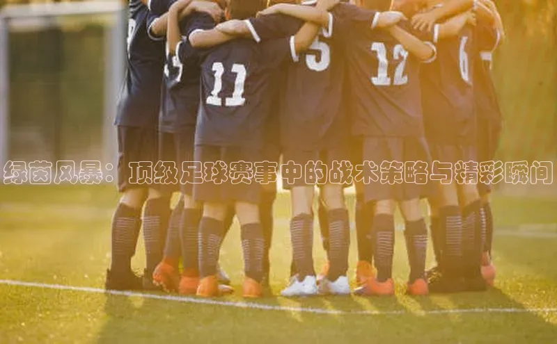绿茵风暴：顶级足球赛事中的战术策略与精彩瞬间