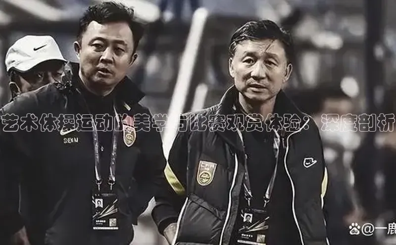 艺术体操运动的美学与比赛观赏体验：深度剖析