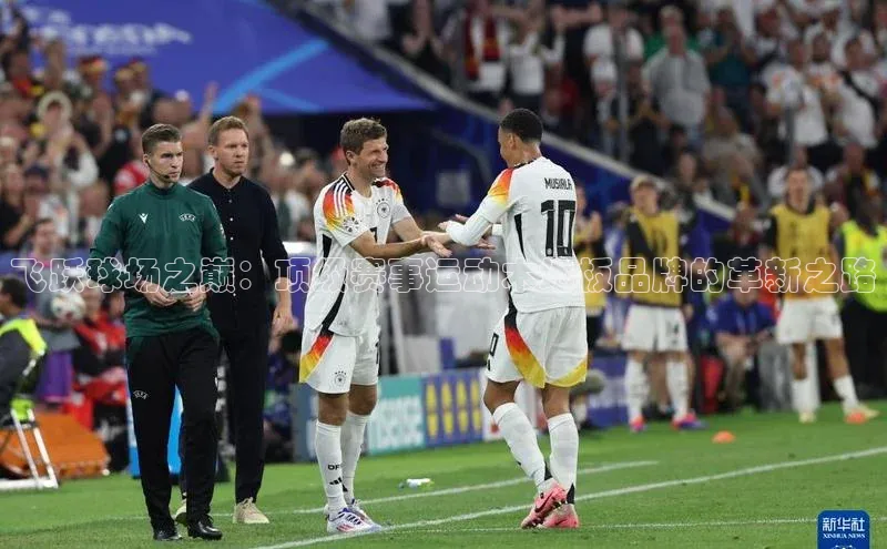 飞跃球场之巅：顶级赛事运动木地板品牌的革新之路