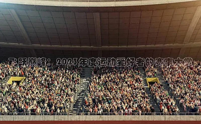 飞跃巅峰：2023年度运动爱好者的赛事大赏