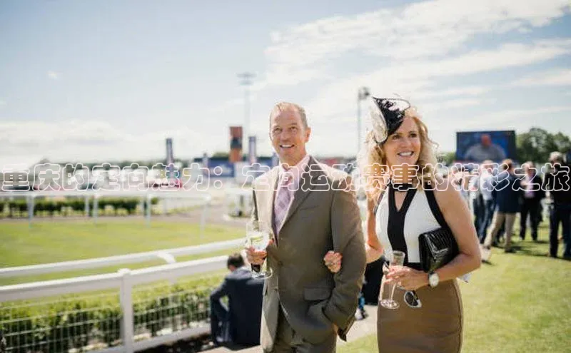 星欧娱乐平台官网入口