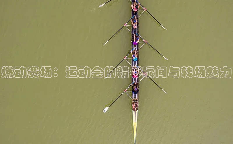 星欧娱乐平台官网入口