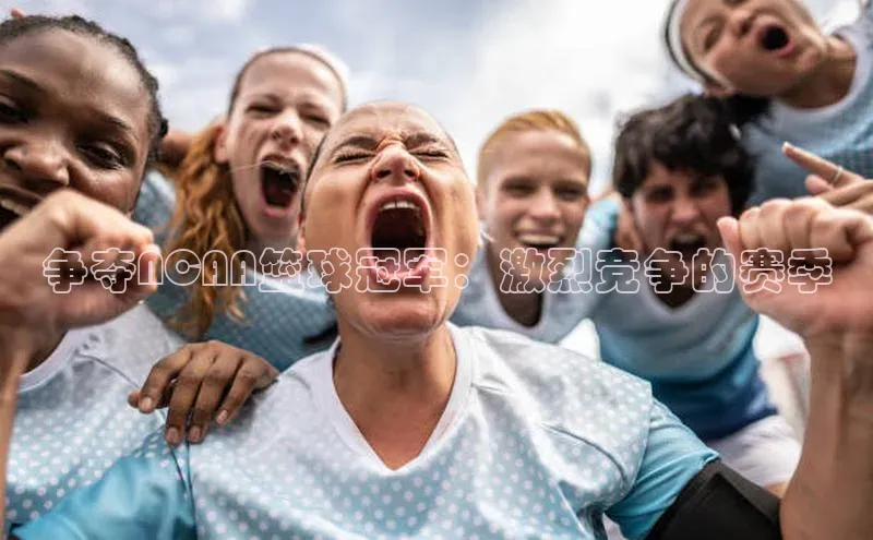 星欧会员平台登录入口