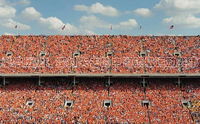 星欧app官方下载