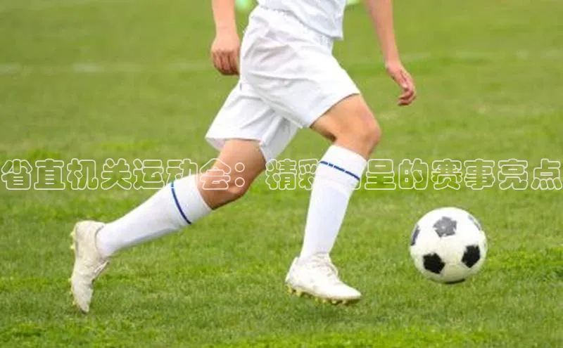 星欧平台app下载安装