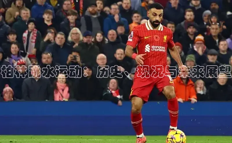 柏林跳水运动：历史、现况与未来展望