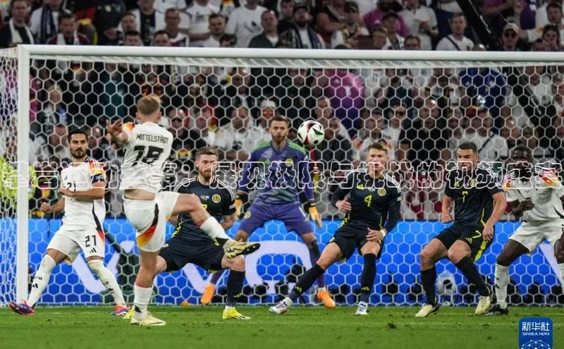 攀岩运动盛事：展现极限与挑战的视频盛宴