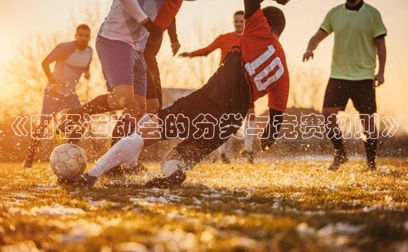 星欧官方网站登录入口