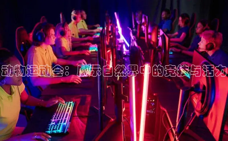 星欧注册登录入口官网